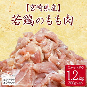 yӂ邳Ɣ[Łz{茧Y {ؐg1.2kgZbg  Ⓚ l炵   ̋[ 8000~ 1~ȉ Xgbv