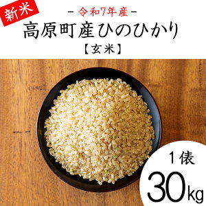 yӂ邳Ɣ[Łzߘa7NY V {茧YЂ̂Ђ  1U 30kg N 3NA An ͂   2025NY  Y BY {茧Y  Yn ̋[ 70000~