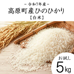 yӂ邳Ɣ[Łzߘa7NY {茧YЂ̂Ђ  5kg N 3NA An ͂   2025NY  Y BY {茧Y  Yn ̋[ 15000~ 1.5~