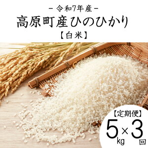 yӂ邳Ɣ[Łz[] 3 ߘa7NY {茧YЂ̂Ђ  5kg×3 v15kg N 3NA An ͂   2025NY  Y BY {茧Y  Yn