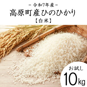 yӂ邳Ɣ[Łzߘa7NY {茧YЂ̂Ђ  10kg N 3NA An ͂   2025NY  Y BY {茧Y  Yn ̋[ 30000~ 3~