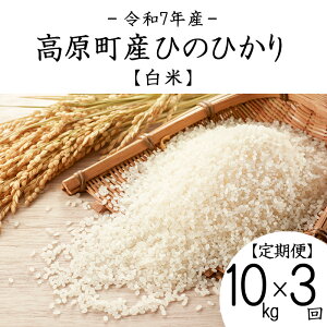 yӂ邳Ɣ[Łz[] 3 ߘa7NY {茧YЂ̂Ђ  10kg×3 v30kg N 3NA An ͂   2025NY  Y BY {茧Y  Yn