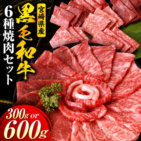 【ふるさと納税】【選べる内容量】宮崎県産黒毛和牛(経産)6種焼肉セット | 黒毛和牛 牛肉 肉 サーロイン リブロース 肩ロース ウデ バラ モモ 焼肉 バーベキュー BBQ 濃厚 プレゼント 贈答 贈り物 ギフト