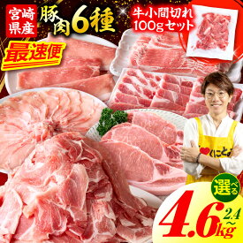 【ふるさと納税】【選べる内容量】豚肉バラエティー詰合せセット 2.3~4.5kg 宮崎県産黒毛和牛小間切れ100g 計2.4～4.6kg 豚肉 肉 お肉 精肉 切り落とし ミンチ ハンバーグ ロース 国産 小分け 詰め合わせ スライス 焼肉 バラ 肩ロース 贈答用 お祝い 宮崎県産 送料無料