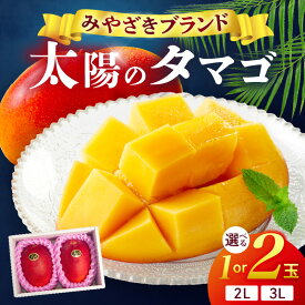【ふるさと納税】【先行予約 2027年発送分】【選べる内容量】宮崎県産 太陽のタマゴ マンゴー フルーツ 果物 果汁 果肉 希少 濃厚 贅沢 ご褒美 お祝い 人気 贈り物 贈答 プレゼント おやつ 青果物 デザート スイーツ 新鮮 冷蔵 ギフト ご当地 グルメ 送料無料