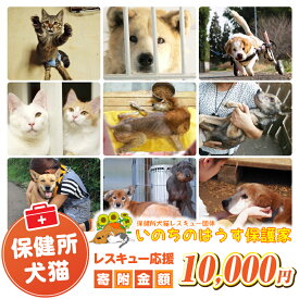 【ふるさと納税】保健所犬猫レスキュー【返礼品なしのご寄附】