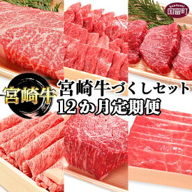 【ふるさと納税】＜12か月定期便 宮崎牛づくしセット＞※入金確認後、翌月末迄に第一回目発送 牛肉 和牛 黒毛和牛 赤身 ウデ うで モモ 焼肉 肩ロース サーロイン ローストビーフ 毎月届く 株式会社エムツー国富店 宮崎県 国富町【冷凍】