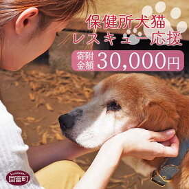 【ふるさと納税】＜保健所犬猫レスキュー【返礼品なしのご寄附】＞寄附金額30,000円※お礼状をお送りいたします。 返礼品なし 保護 動物愛護 いぬ ねこ イヌ ネコ 応援 宮崎県 国富町 いのちのはうす保護家 0623_in