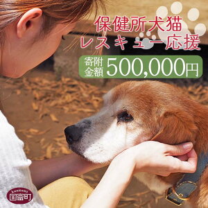yӂ邳Ɣ[ŁzیLXL[yԗiȂ̂񕍁z񕍋z500,000~肢܂B ԗiȂ ی   ˂ Ck lR  {茧 x 