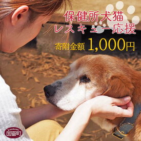 【ふるさと納税】＜保健所犬猫レスキュー【返礼品なしのご寄附】＞ 返礼品なし 保護 動物愛護 いぬ ねこ イヌ ネコ どうぶつ 応援 支援 寄付 使い道 千円 1,000円 1000円 ポッキリ 宮崎県 国富町 いのちのはうす保護家