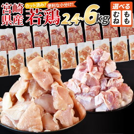 【ふるさと納税】【レビューキャンペーン】＜宮崎県産若鶏切身＞ 選べる 数量 定期便 国産 モモ ムネ 鶏肉 むね肉 もも肉 鶏 精肉 切り身 小分け 小分けパック 詰め合わせ カット済み 省スペース 市場食鳥 宮崎県 国富町 【冷凍】※入金確認後、翌々月までに順次出荷