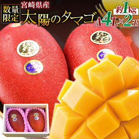 【ふるさと納税】数量限定【2026年発送】＜宮崎県産 太陽のタマゴ A等級 4Lサイズ×2玉（合計約1kg）＞※入金確認後、2026年4月上旬〜2025年6月末迄に順次出荷 果物 青果 フルーツ 完熟 マンゴー ギフト 贈答用 季節限定 先行予約 JAみやざき 宮崎県 国富町 0259_ja【冷蔵】