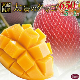 【ふるさと納税】数量限定【2026年発送】＜宮崎県産 太陽のタマゴ A等級 5Lサイズ×1玉（約650g以上）＞※入金確認後、2026年4月上旬〜6月末迄に順次出荷 JAみやざき 宮崎中央管内産 国産 完熟マンゴー マンゴー 果物 果実 フルーツ 南国 美味しい 宮崎県 国富町【冷蔵】