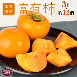【ふるさと納税】数量限定!予約受付!<国富町産 富有柿 3L×約12個>※入金確認後、2025年11月中旬から12月中旬に順次出荷します。フルーツ 果物 かき カキ 片山柿園 宮崎県 国富町 0256_ky_x1