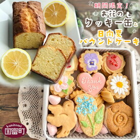 【ふるさと納税】＜期間限定！お花のクッキー缶と日向夏パウンドケーキ＞※入金確認後、翌月末迄に順次出荷します お菓子 スイーツ アイシングクッキー サブレ かわいい お菓子 洋菓子 スイーツ ギフト プレゼント お菓子屋mia 宮崎県 国富町 0604_mi【冷蔵】