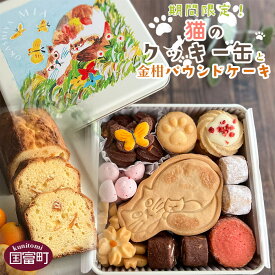 【ふるさと納税】＜期間限定！猫のクッキー缶（1缶）と金柑パウンドケーキ（1本）＞※入金確認後、翌月末迄に順次出荷です お菓子 洋菓子 焼き菓子 パウンドケーキ クッキー サブレ スイーツ かわいい ギフト 差し入れ 贈り物 プレゼント お菓子屋mia 宮崎県 国富町 【冷蔵】