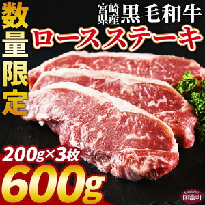 yӂ邳Ɣ[Łzyr[Ly[zʌ {茧Yјa(oY)[XXe[L3 600gmFA1xŏo Y јa    [X Xe[L Ԑg 