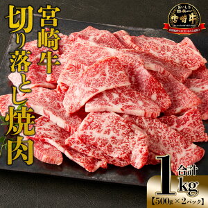 yӂ邳Ɣ[Łzy9/30܂ŁIzyԌz{苍 ؗē1kgi500g×2jmFA܂łɏo Y јa    Ԑg uh ƍ ̐H v`