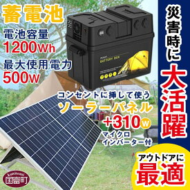 【ふるさと納税】＜蓄電池（電池容量1200Wh 最大使用電力500W）＋コンセントに挿して使うソーラーパネル310W（マイクロインバーター付）＞※入金確認後、6か月以内に順次出荷します。家電 キャンプ 車中泊 防災 災害 蓄電池 キャンプ 株式会社関谷 宮崎県 国富町