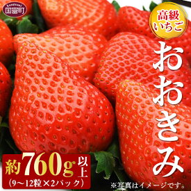楽天市場 いちご 9 月の通販