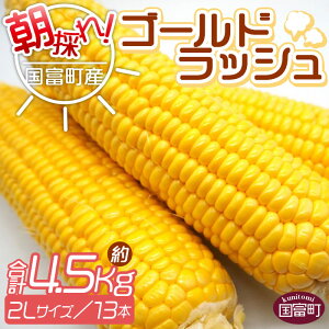 yӂ邳Ɣ[Łzy\tẑIxYS[hbVi4.5kg 2LTCY 13{jmFA2026N5{`7{ɏoׂ܂BgERV XC[gR[  