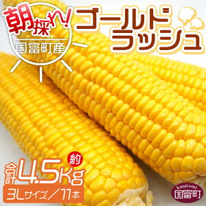 yӂ邳Ɣ[Łzy\tẑIxYS[hbVi4.5kg 3LTCY 11{jmFA2026N5{`7{ɏoׂ܂BgERV XC[gR[  
