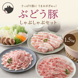 【ふるさと納税】希少「ぶどう豚」しゃぶしゃぶ 食べ比べ セット 1.5kg (500×3パック) モモ 豚バラ ロース / 国産 宮崎県 ブランド豚 豚肉 豚しゃぶ 小分け 冷凍 冷しゃぶ 鍋 食べ比べ 和豚 ポーク 人気 おすすめ 送料無料 ふるさと納税