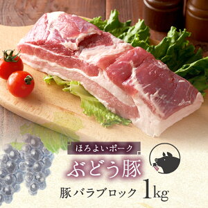 yӂ邳Ɣ[Łz uh Ԃǂ oubN 1kg / ؓ ؃o ubN Y {茧Y  uh Ⓚ  ؂ p `[V[ ē TMvT ӂ
