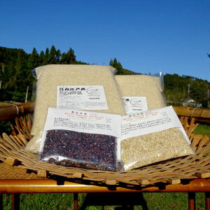 yӂ邳Ɣ[Łzqĕ@IׂrSR 5kgyāEāEz{ÑăZbg