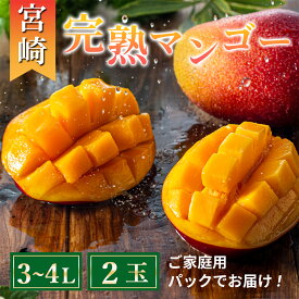 【ふるさと納税】完熟マンゴー 3L～4L×2玉（パック）【濃厚 宮崎 高級 果物 フルーツ 贈答 ギフト 甘い 先行受付 送料無料】
