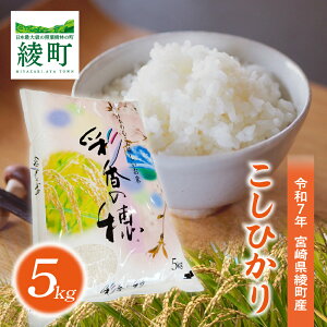 yӂ邳Ɣ[ŁzYЂu5kgv ߘa7NY   ͂   CX RVqJ {茧 Y