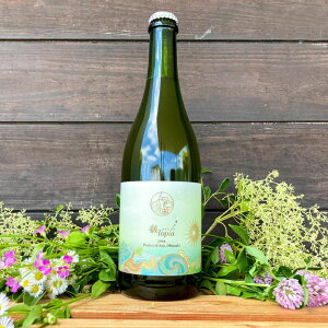 yӂ邳Ɣ[Łz2024 gsA Ci^h^750mljS _ C  h  gsA  Mtg 