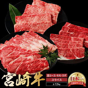 yӂ邳Ɣ[Łz{苍 XCX Hה Zbg v1.1kg   Y Ԃ  Hה Zbg XCX  Ԑg uh Mtg 蕨 B {