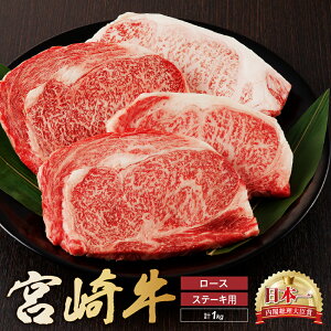 yӂ邳Ɣ[Łz{苍 [X Xe[L 4 1kg   Y  uh Mtg 蕨 B { ~