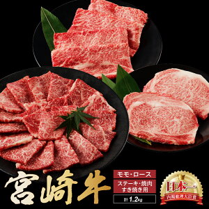 yӂ邳Ɣ[Łz{苍 Xe[L Ă ēZbgv1.2kg   Y Ԃ  Ă XCX  Ԑg uh Mtg 蕨 B { ~ Ԑg Hה