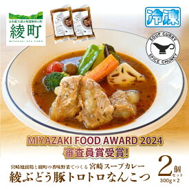 【ふるさと納税】宮崎スープカレー　綾ぶどう豚トロトロなんこつ（2個） 希少 軟骨 豚肉 簡単調理 お取り寄せ グルメ レトルト 加工品 惣菜 冷凍