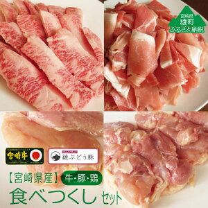 yӂ邳Ɣ[Łz{茧YE{EؓHׂ4Zbg uh lߍ킹 