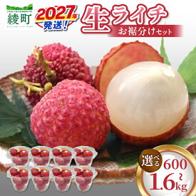 【ふるさと納税】先行予約 《選べる内容量》 数量限定 希少 綾生ライチ お裾分け セット 果物 フルーツ くだもの 国産ライチ 2027年 トロピカルフルーツ 南国フルーツ 冷蔵 ジューシー 高級 デザート ギフト 贈り物 プレゼント ご褒美 おすすめ 宮崎県 送料無料 【JA綾町】