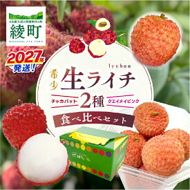 【ふるさと納税】先行予約 希少 国産 綾 生ライチ 2種 食べ比べ セット 数量限定 果物 フルーツ くだもの 大粒 国産ライチ 2027年 トロピカルフルーツ 南国フルーツ 冷蔵 高級 デザート ギフト 贈り物 プレゼント ご褒美 おすすめ 産地直送 宮崎県 送料無料 【JA綾町】