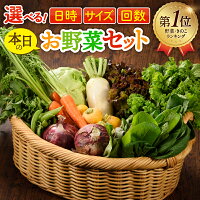 【ふるさと納税】＜レビューキャンペーン開催中＞ヒルナンデスで紹介されました...