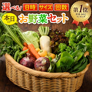 ヒルナンデスで紹介 ＜選べる！日時＆サイズ＆お届け回数＞ ...