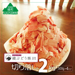 【ふるさと納税】綾ぶどう豚モモ・ウデ 切り落し 2kg 豚肉 銘柄豚 国産 冷凍 送料無料