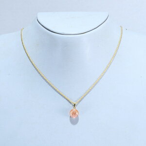 yӂ邳Ɣ[ŁzANZT[ v`lbNX yIׂJ[FԁAI[Vu[ANAAsNAMNARogu[AO[Az i t@bV KXH| 