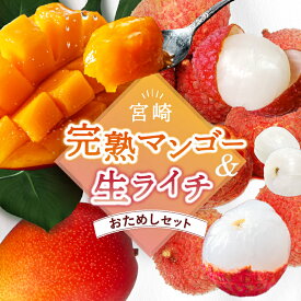 【ふるさと納税】先行予約 完熟マンゴー＆生ライチセット / 宮崎県産 マンゴー 国産ライチ 果物 フルーツ 先行受付 予約 産地直送 期間限定 濃厚 甘い 産地直送 お中元 送料無料 ふるさと納税