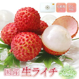 【ふるさと納税】希少 国産 綾生 ライチ 化粧箱入り 420g 9～15玉入り 生ライチ 国産ライチ フレッシュライチ トロピカルフルーツ 南国フルーツ 果物 国産フルーツ 冷蔵 甘い ジューシー 濃厚 フレッシュ 高級フルーツ ギフト プレゼント 贈答用 宮崎県 綾町 送料無料