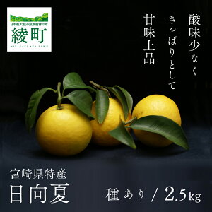 yӂ邳Ɣ[Łz 킠 2.5kg st 2026N3 j[T}[IW k Mtg  