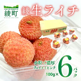 【ふるさと納税】 ライチ お裾分け セット 約600g 小分け 6パック 国産 宮崎 希少 果物 フルーツ 贈答 ギフト 先行受付 送料無料（14-75）