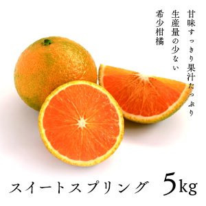 ふるさと納税 みかん 5kgの人気商品 通販 価格比較 価格 Com
