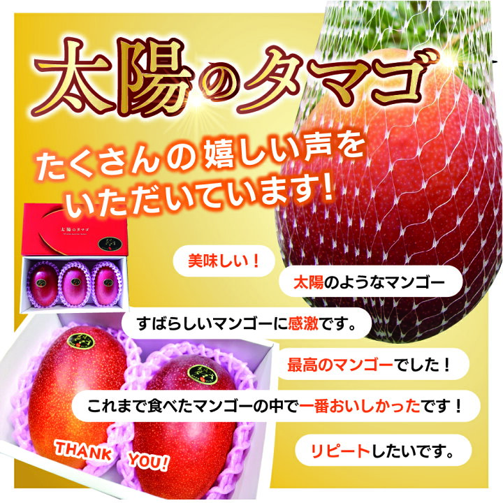 楽天市場】【ふるさと納税】太陽のタマゴ 3玉 約1kg 完熟 マンゴー 濃厚 宮崎 高級 果物 フルーツ 贈答 ギフト 先行受付 送料無料 : 宮崎県 綾町 楽天市場】【ふるさと納税】太陽のタマゴ 3玉 約1kg 完熟 マンゴー 濃厚 宮崎 高級 果物 フルーツ 贈答 ギフト 先行受付 送料無料 : 宮崎県 綾町