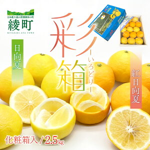 yӂ邳Ɣ[ŁzgĂƓĂ̍ʂ蔠 2.5kg ʕ g ăt[c  Mtg 